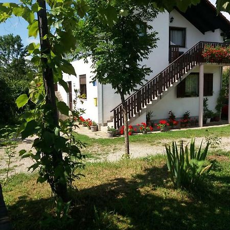 Apartment Manda Rakovica Zewnętrze zdjęcie