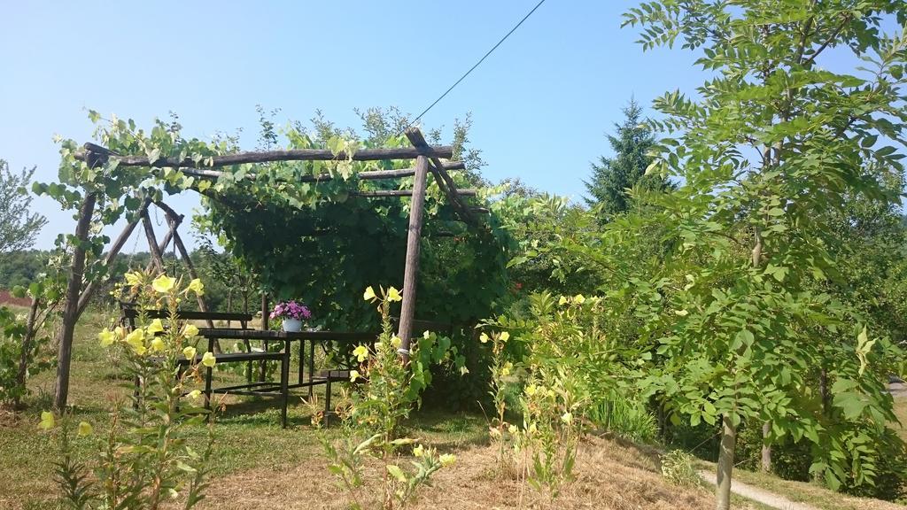 Apartment Manda Rakovica Zewnętrze zdjęcie