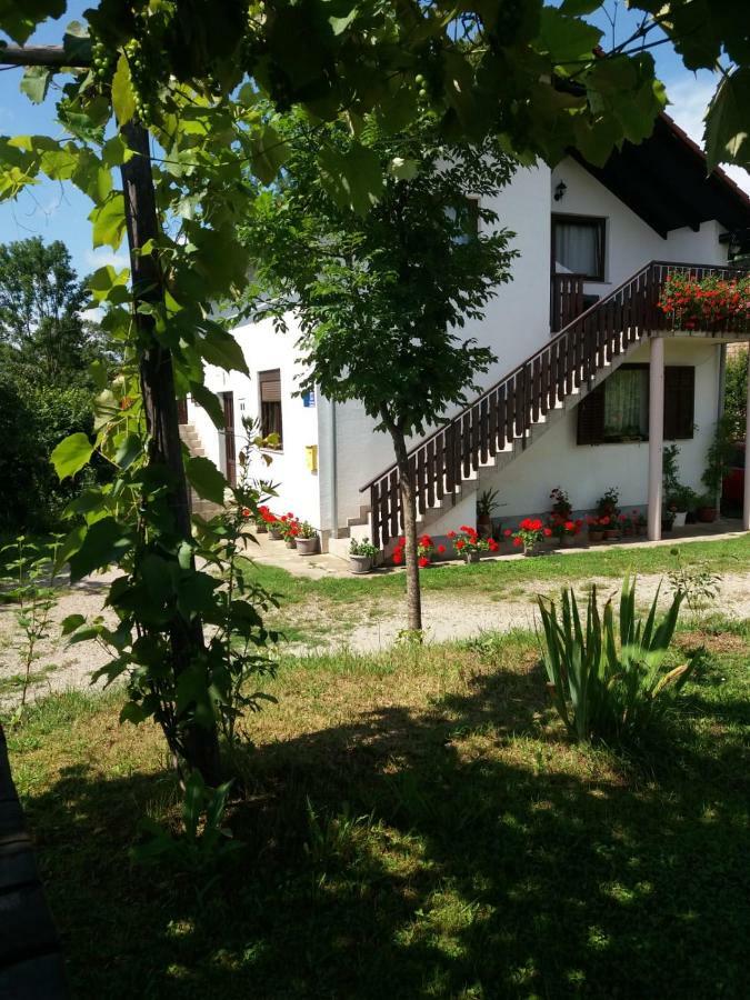 Apartment Manda Rakovica Zewnętrze zdjęcie